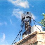 Racoon-Trapped-On-Roof-On-Chimney