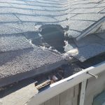 Raccoon-Damage-Roof