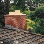 Racoon-Trapped-On-Roof-Near-Chimney